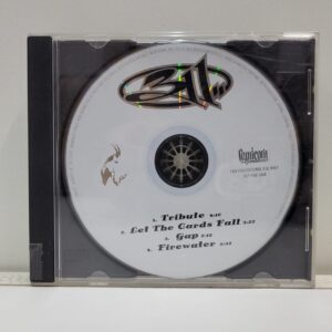 311 (CD SINGLE)