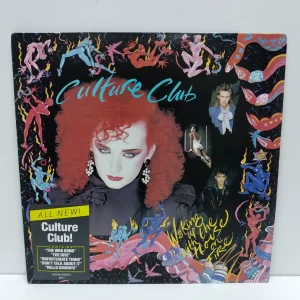 Culture Club – Waking Up With The House On Fire (LP EPOCA)