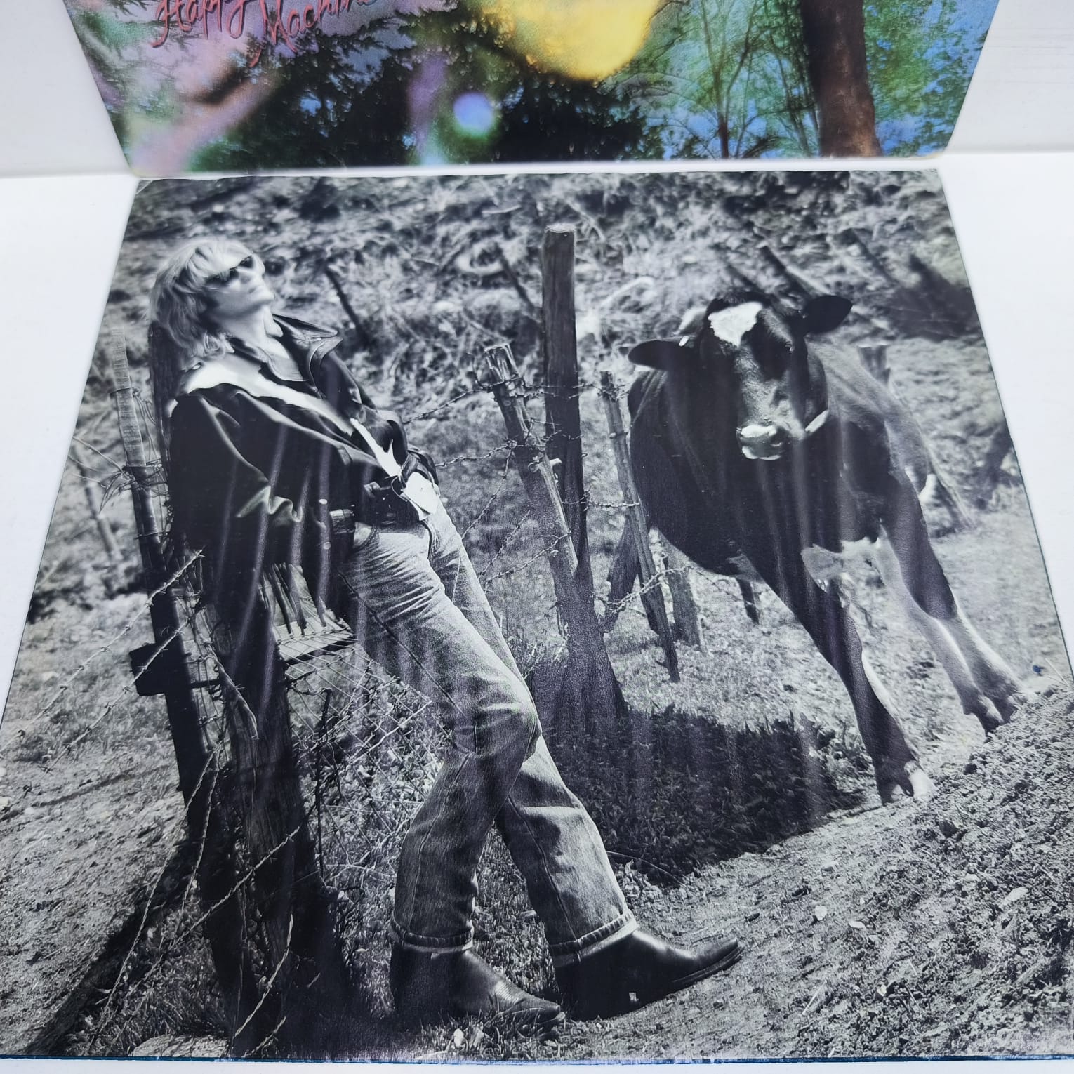 Daryl Hall – Three Hearts In The Happy Ending Machine (LP EPOCA 9/10) - Imagen 3