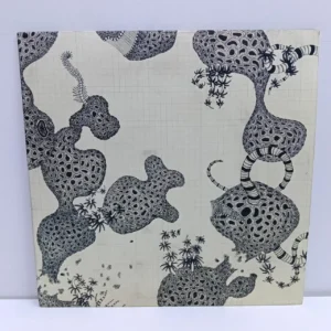The Shins – Wincing the night away (LP)