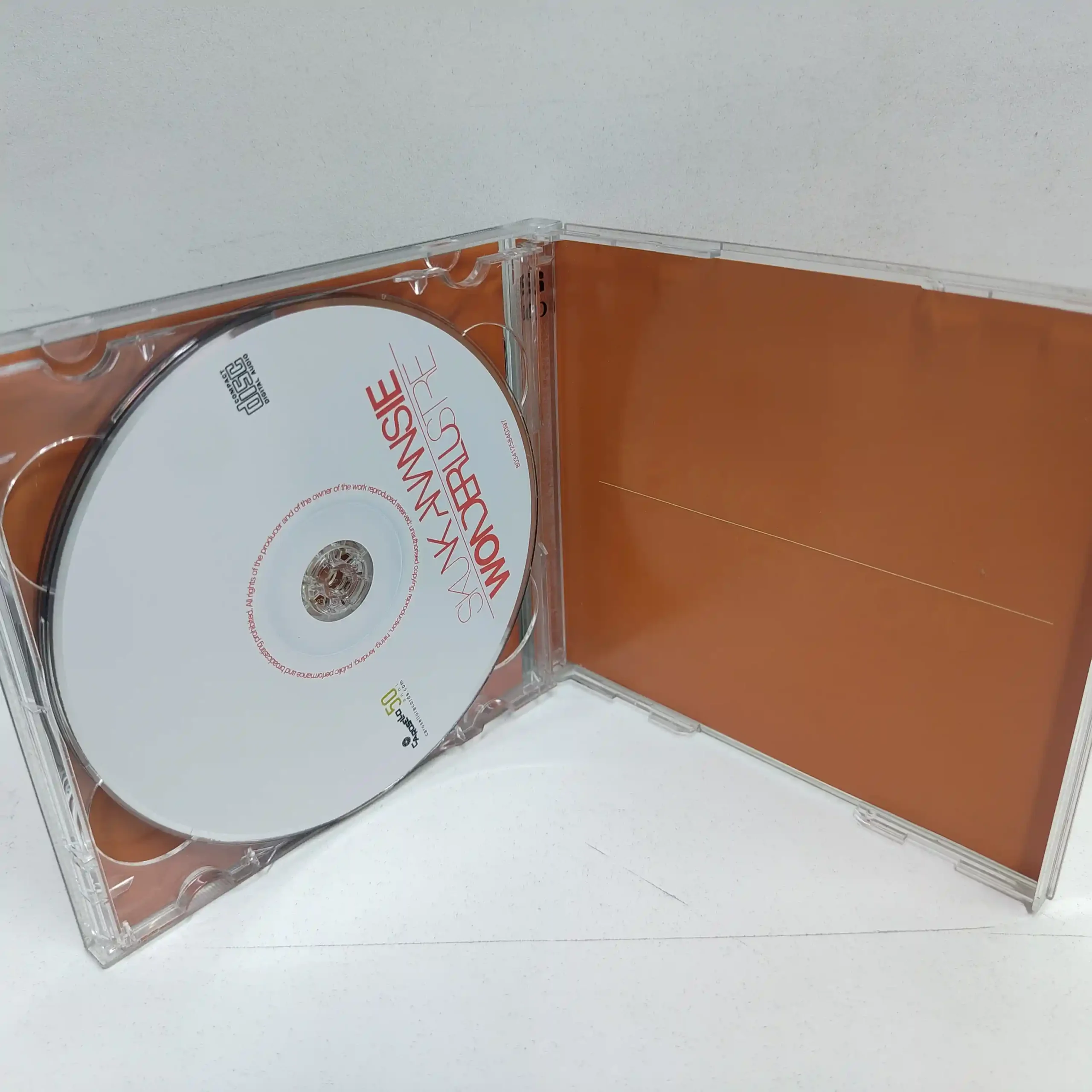 Skunk Anansie – Wonderlustre (CD+DVD) - Imagen 2