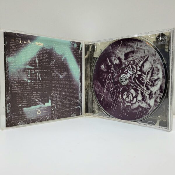 Soul Asylum – Let Your Dim Light Shine (CD) - Imagen 2