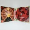 Pink – I’m not dead (CD) - Imagen 3
