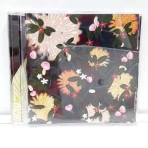 Bright Eyes – Noise Floor (Rarities: 1998-2005) (CD)