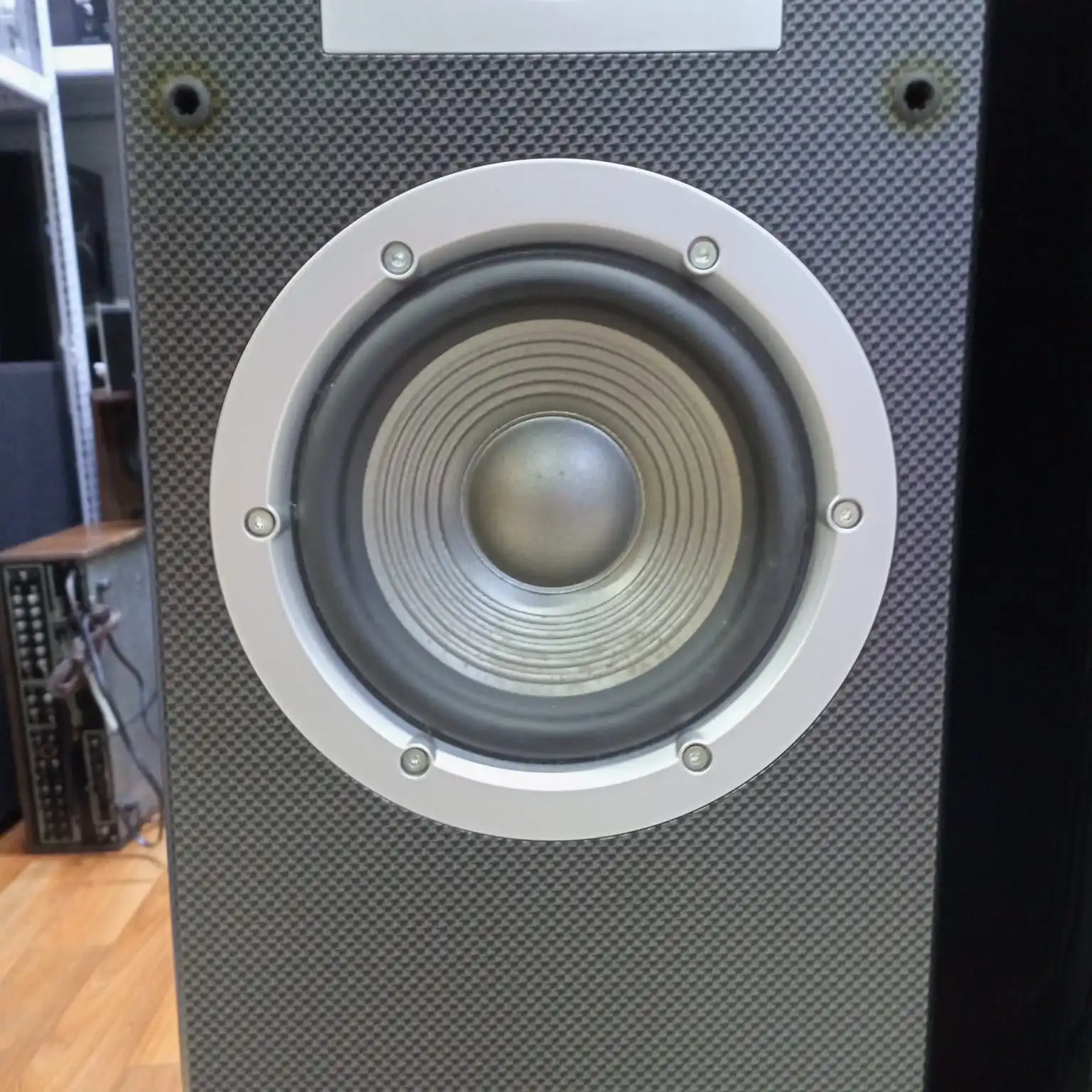Parlantes JBL VENUE SERIES STAGE (110 W.) - Imagen 9